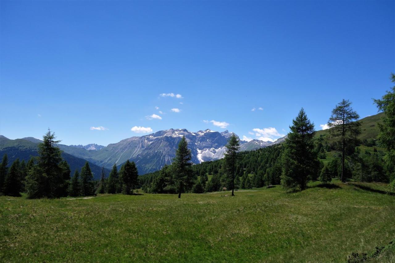 Alpen Gasthof Apartments Hohe Burg Trins Exterior foto